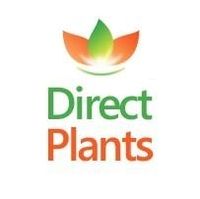 Direct Plants coupons